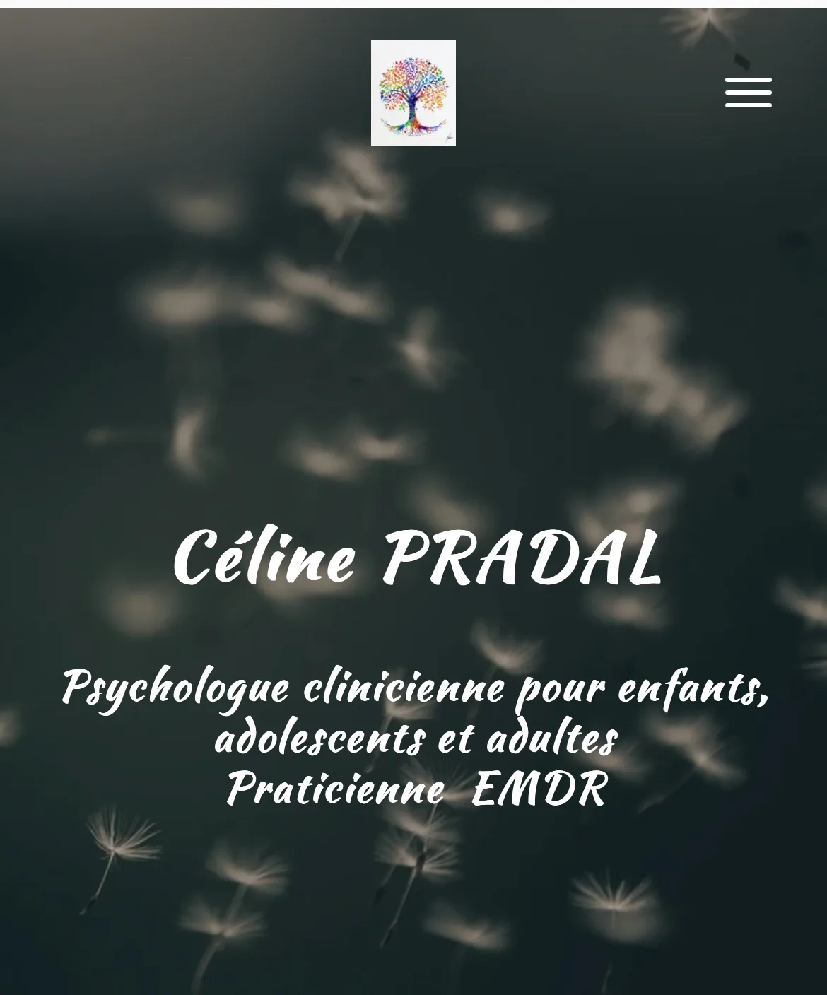 Cabinet de Mme Celine Pradal, psychologue à Limoges · photo 3