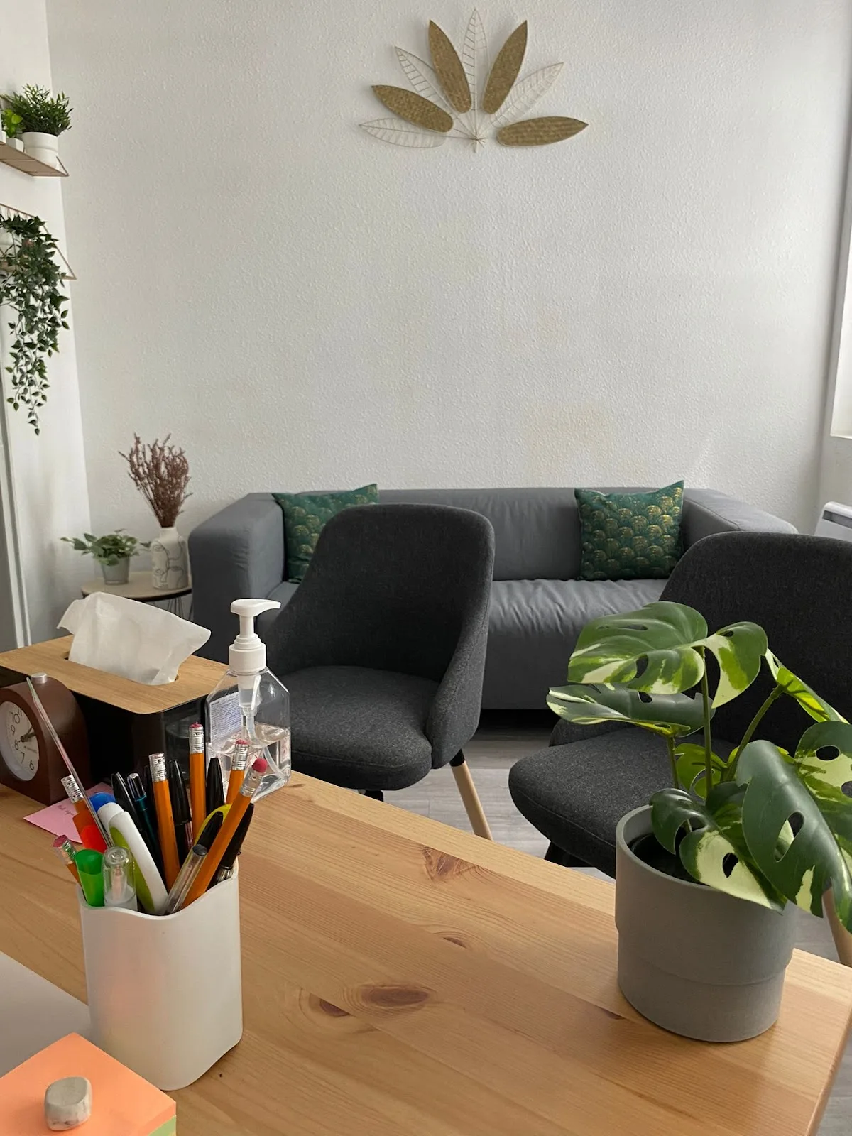 Cabinet de Mme Chloe Seli, psychologue à Toulouse · photo 3