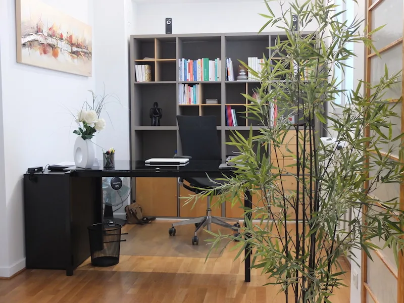 Cabinet de Mme Laurene Giroud, psychologue à Lyon · photo 2