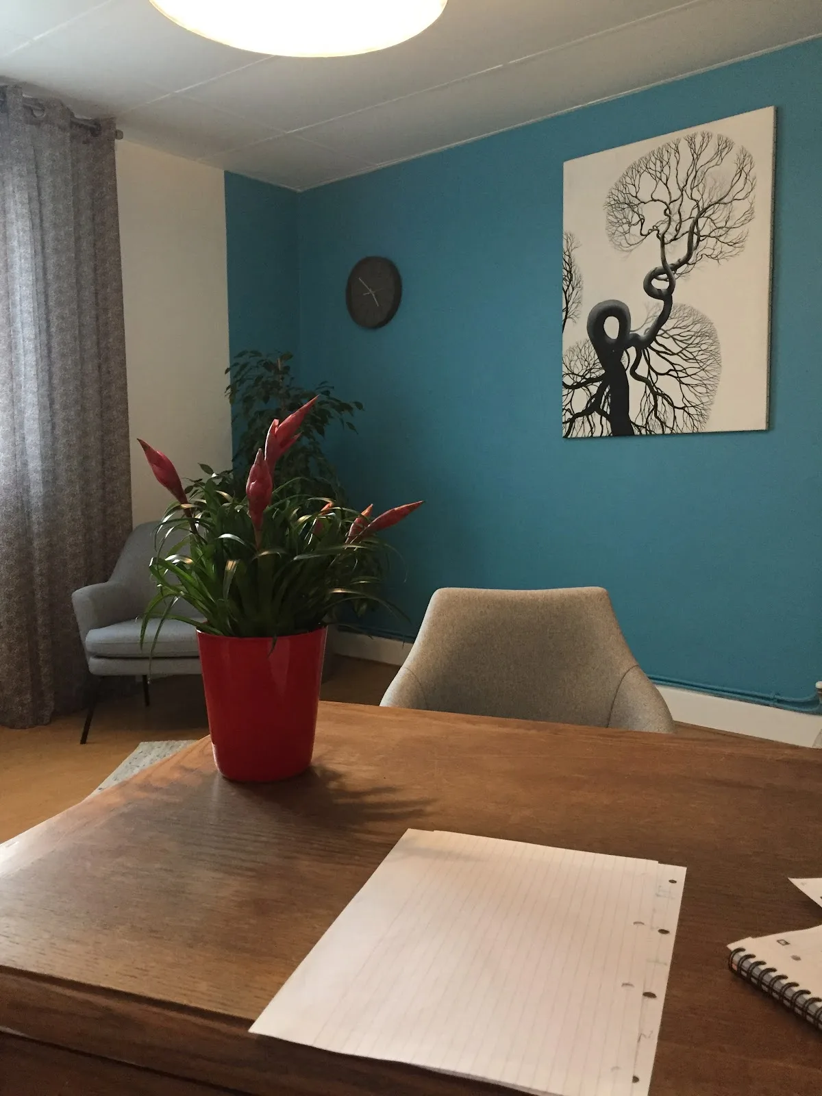 Cabinet de Mme Carole Berthaud, psychologue à Grenoble · photo 5