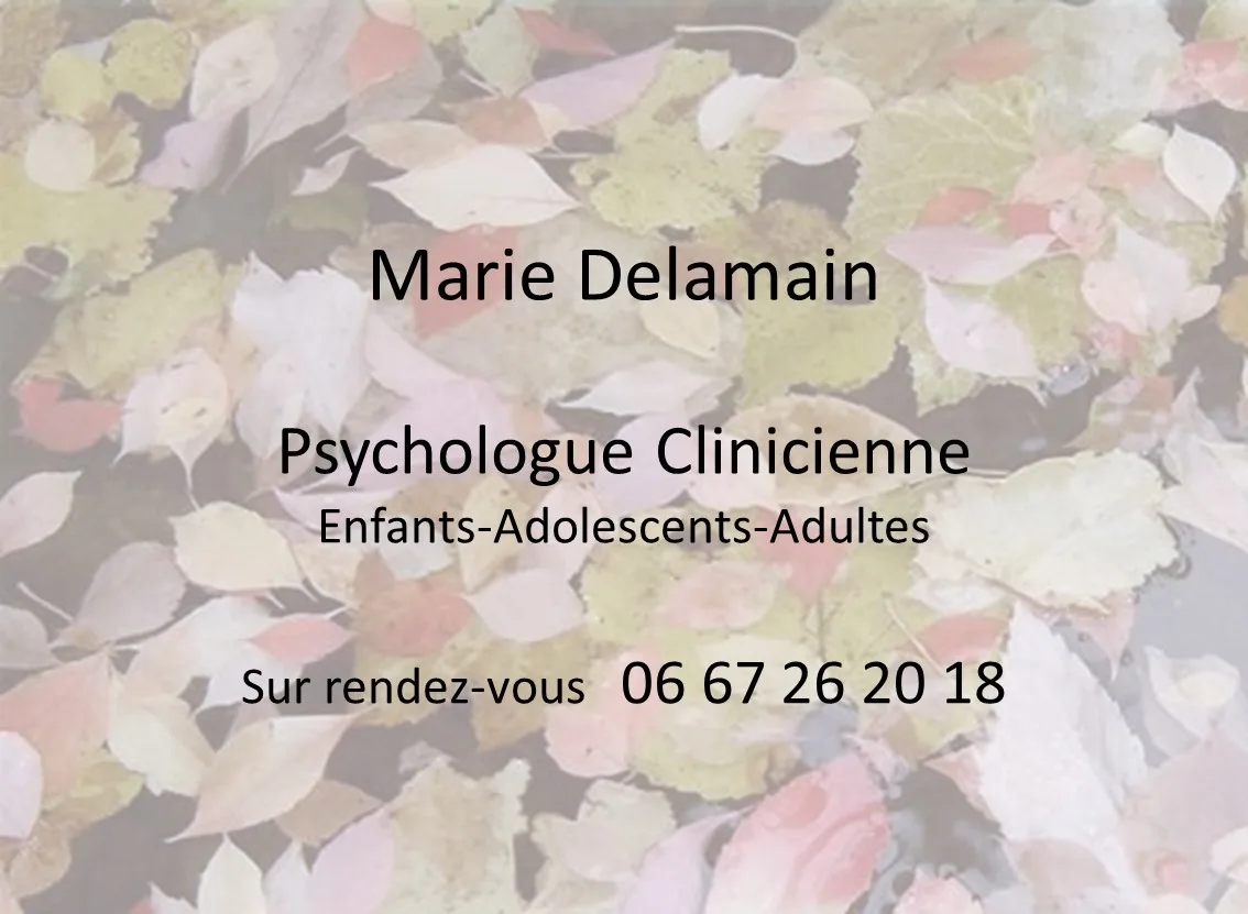 Cabinet de Mme Marie Delamain, psychologue à Montpellier · photo 1