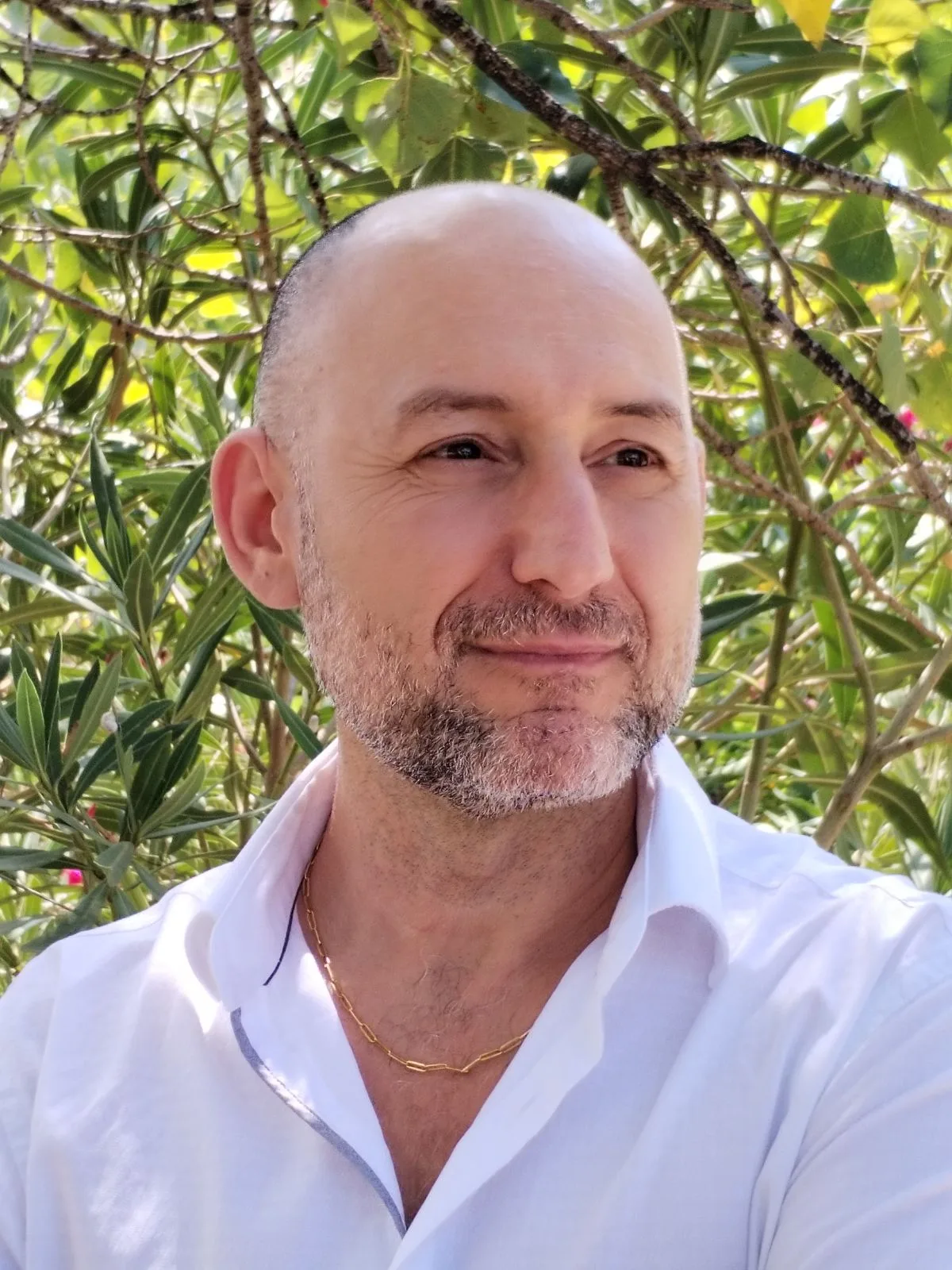 Cabinet de M. Laurent Giraud