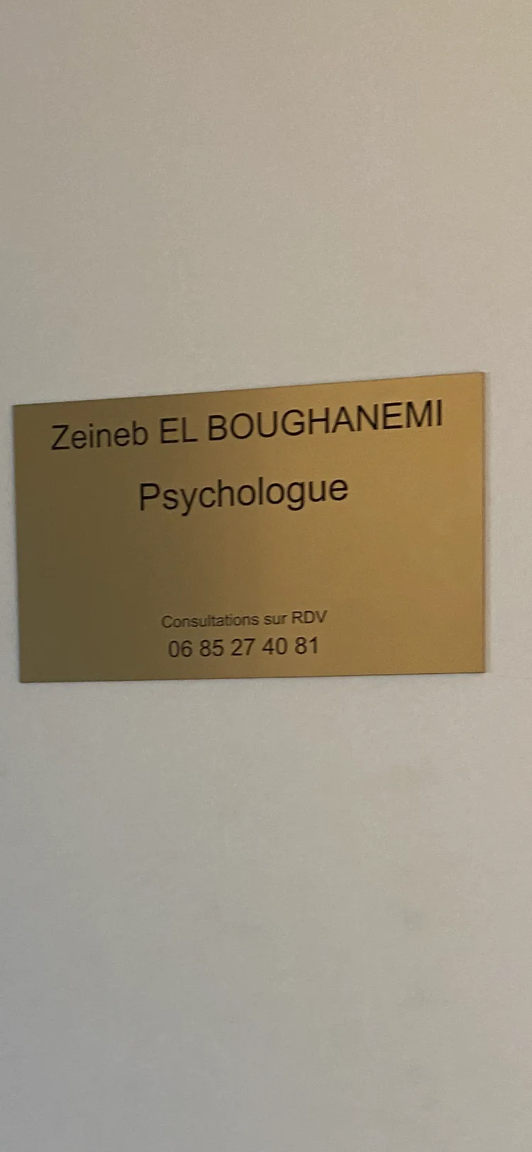 Cabinet de Mme Zeïneb El Boughanemi