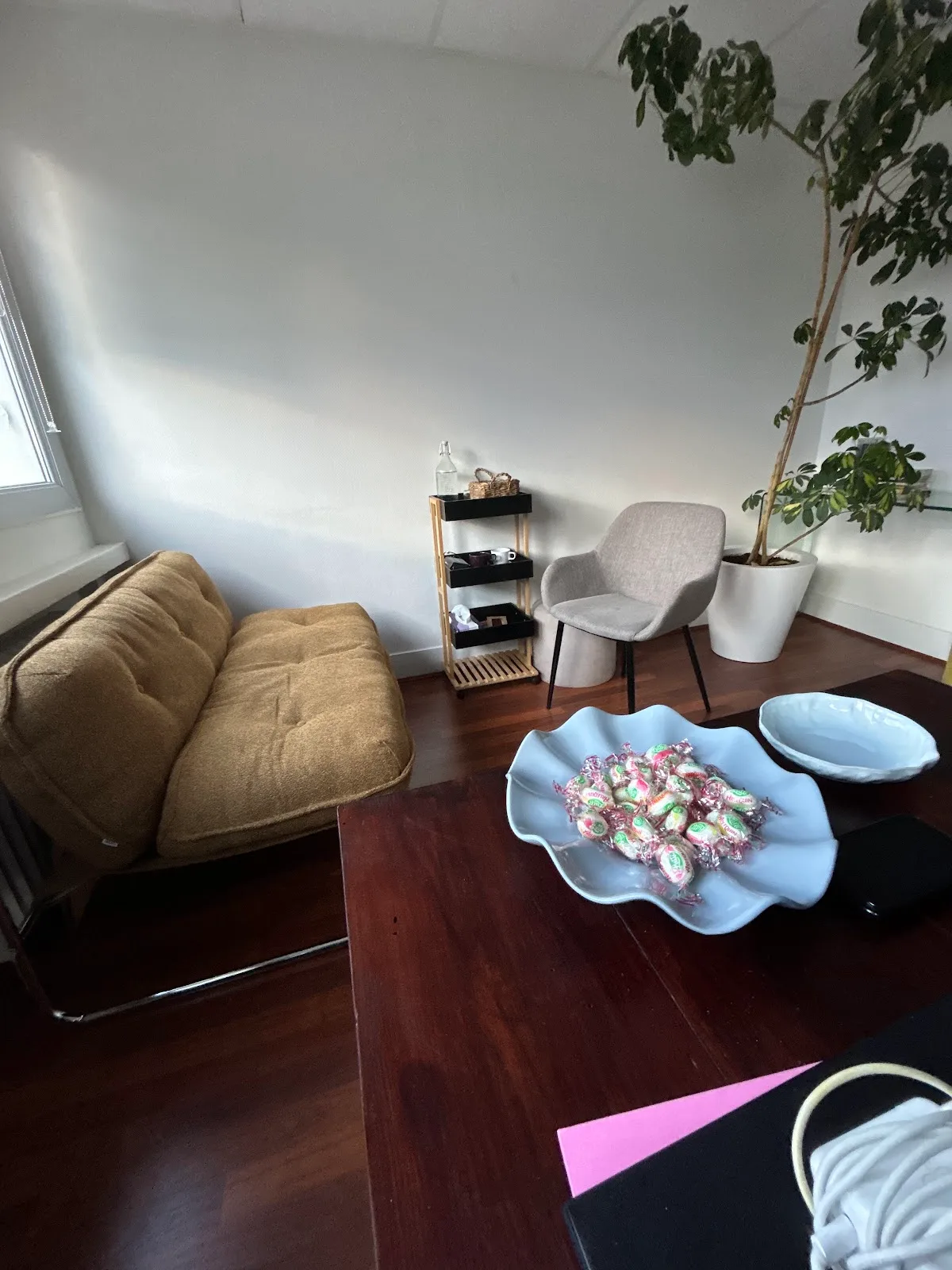 Cabinet de Mme Alizée Reyard, psychologue à Toulouse · photo 3