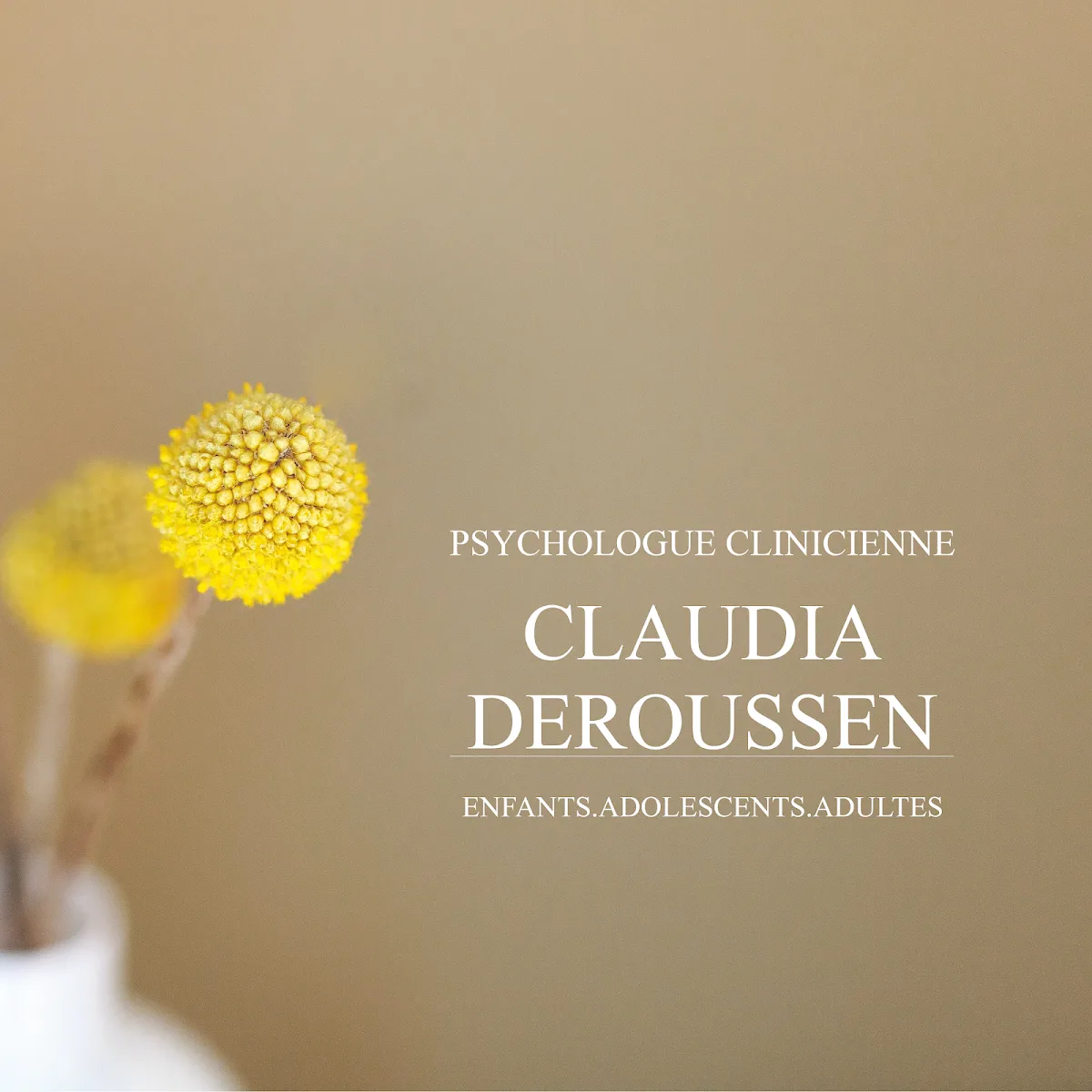Cabinet de Mme Claudia Tenorio Gutierrez, psychologue à Rennes · photo 1